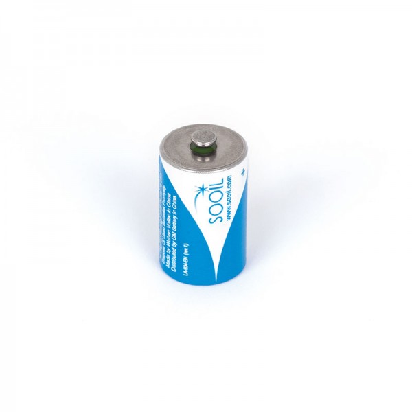 Dana Batterie 3,6 V Lithium